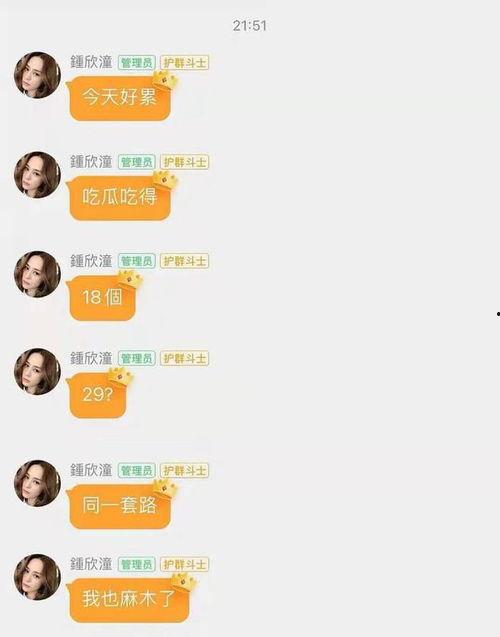 娱乐圈吃瓜流程